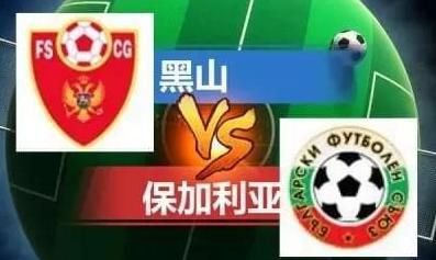 小猫搞笑视频