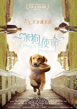 337p人体粉嫩胞高清大图 新闻