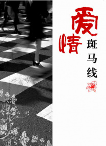 久久婷婷丁香
